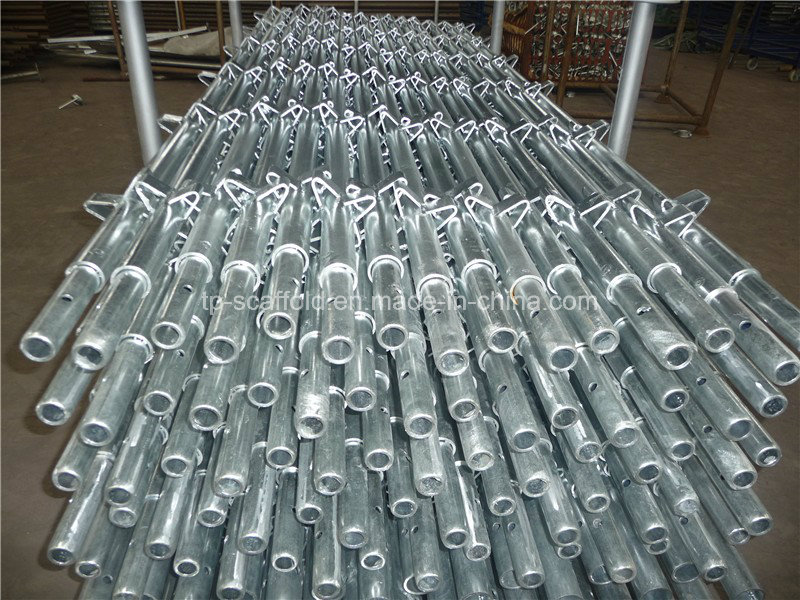 HDG Scaffold Quick Stage Standard Kwikstage Scaffolding