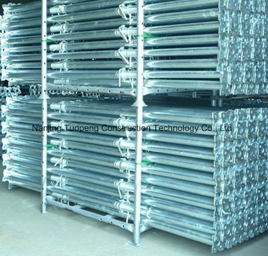 Hot DIP Galvanized Shoring Prop for Scaffolding
